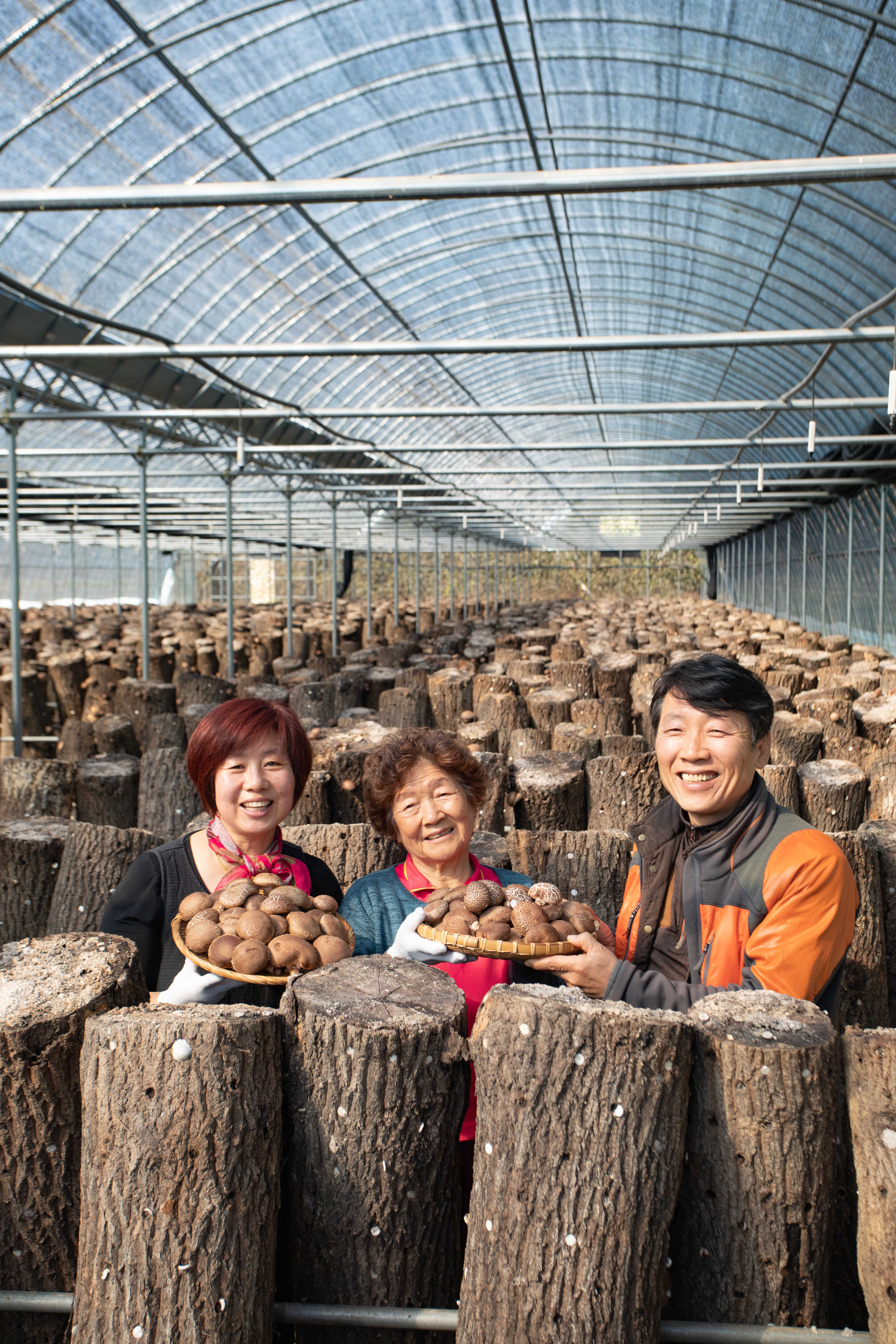 "돈 되는 산으로"…경북도, 임산업 육성·고부가가치 창출