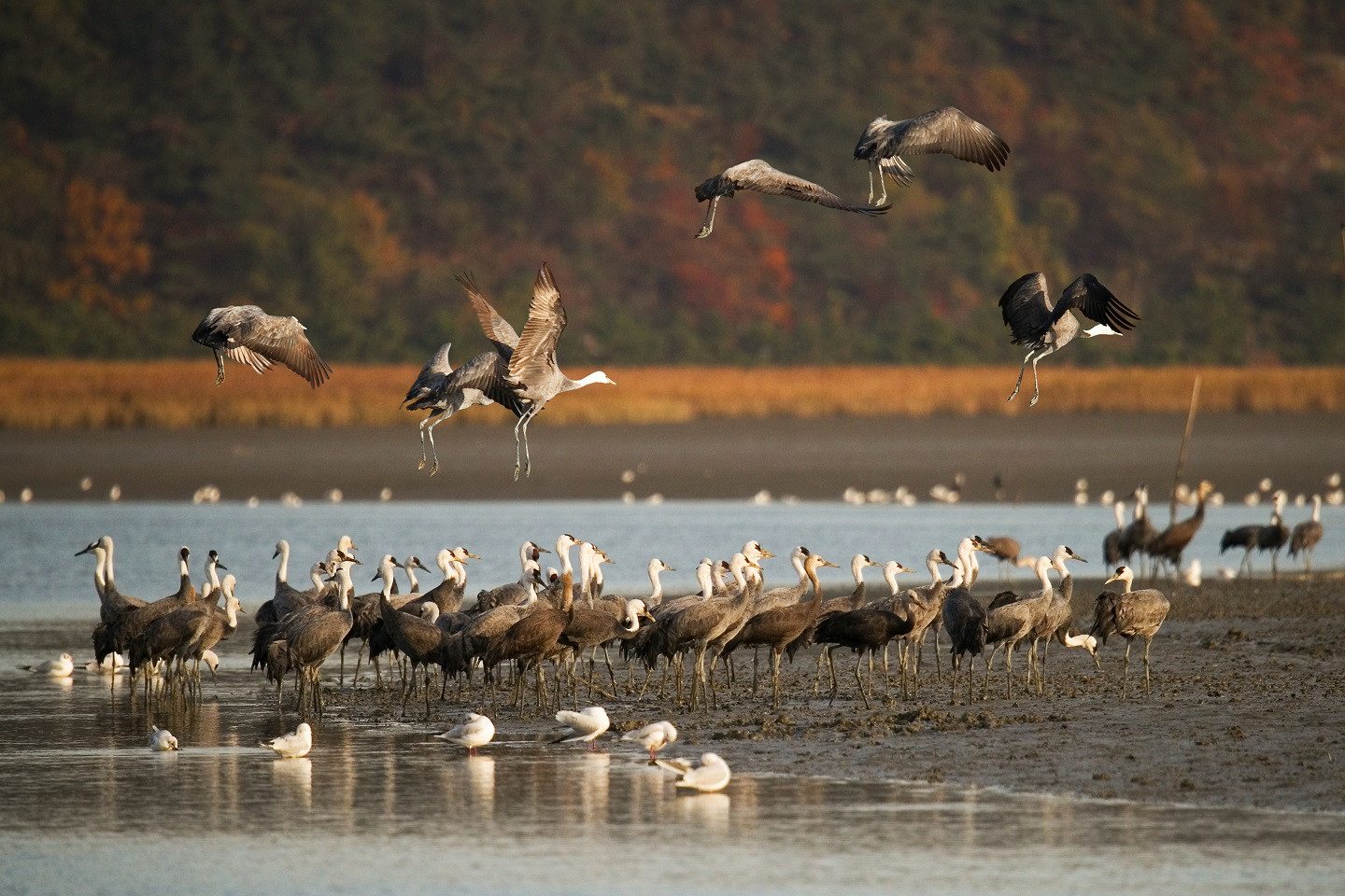 '생태 경제도시' 온라인카지노 순위 온카판, 국제자연보전연맹 가입 추진