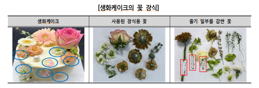 꽁 머니 카지노
