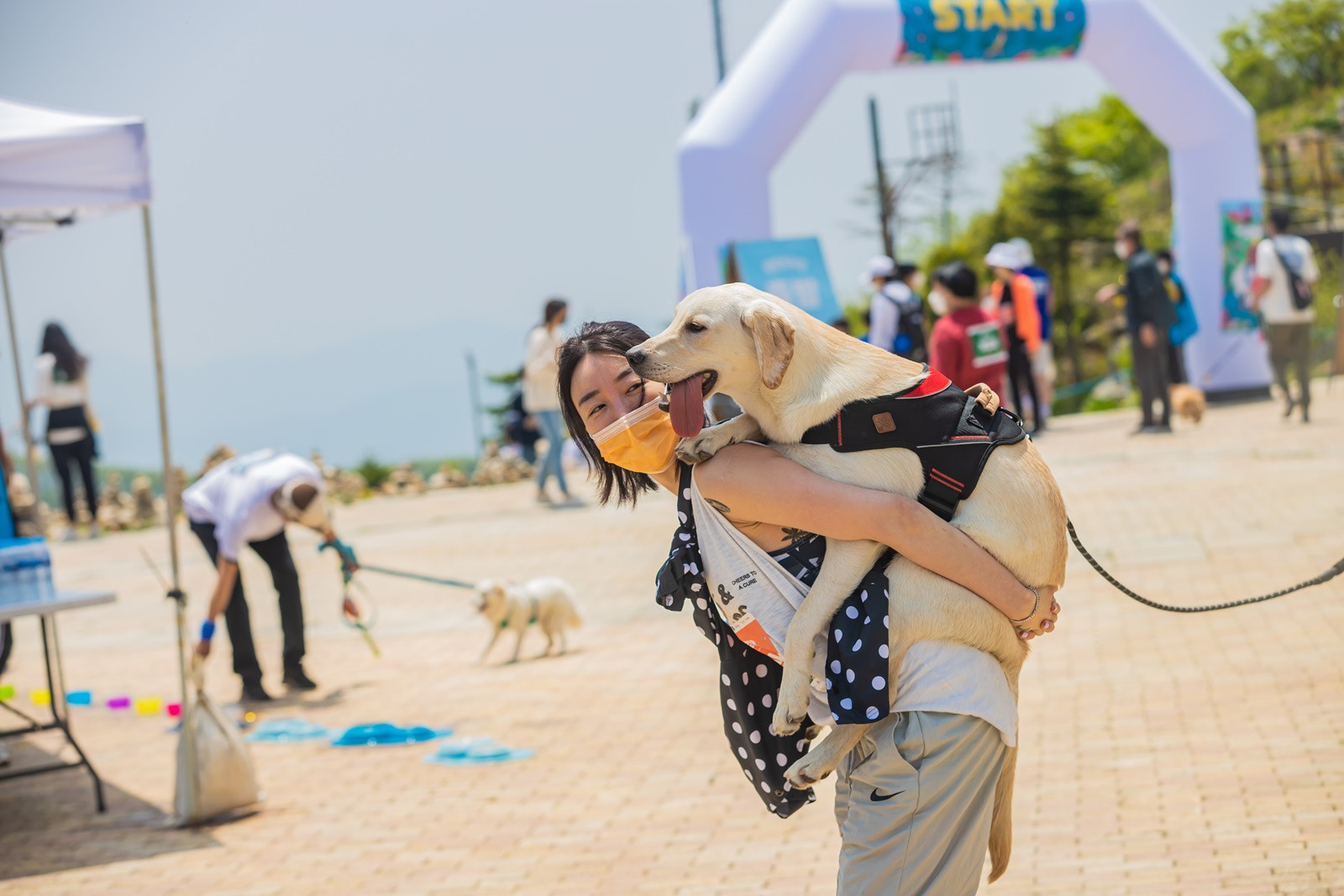 2천마리 반려견 한자리에…<em class='find'온라인카지노 롤링</em '2025 댕댕트레킹' 개최
