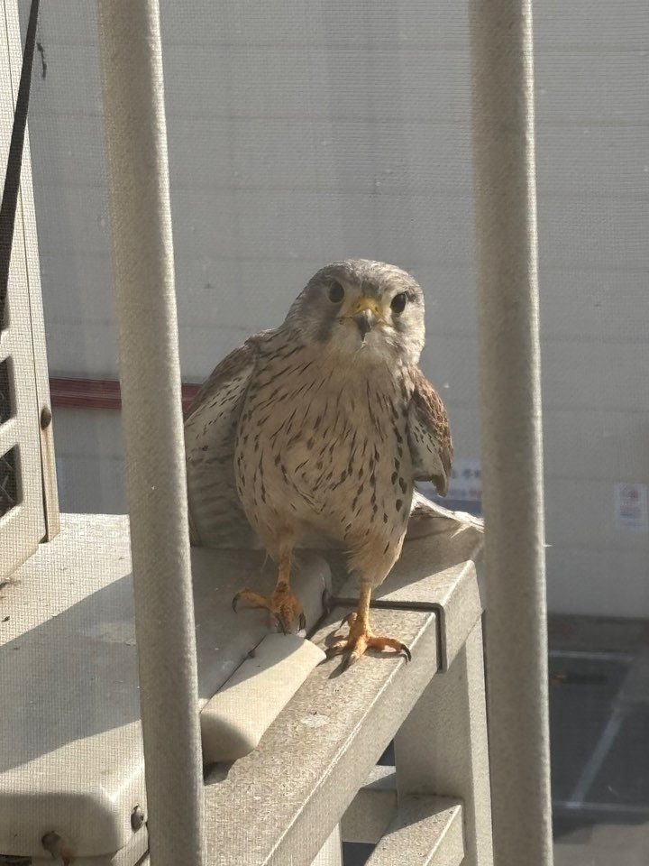 온라인카지노 경찰 벳엔드