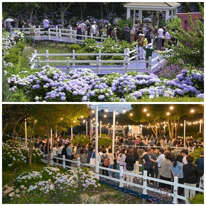 <em class='find'고래마을</em 울산 온라인카지노 커뮤니티 유니벳서 7~29일 수국 페스티벌 개최