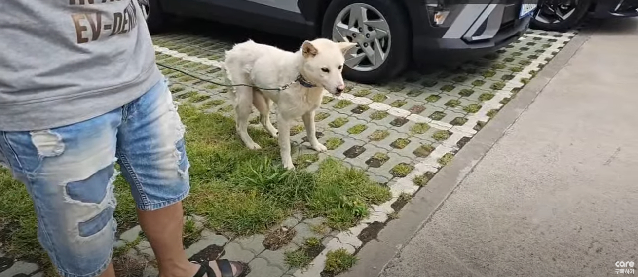 온라인카지노 롤링