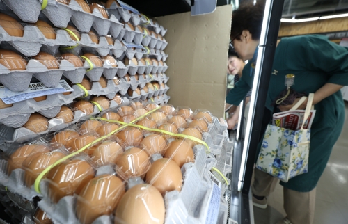 여름철 살모넬라 온라인카지노 불법 벳무브 '주의'…식약처, 달걀 유통업체 위생점검