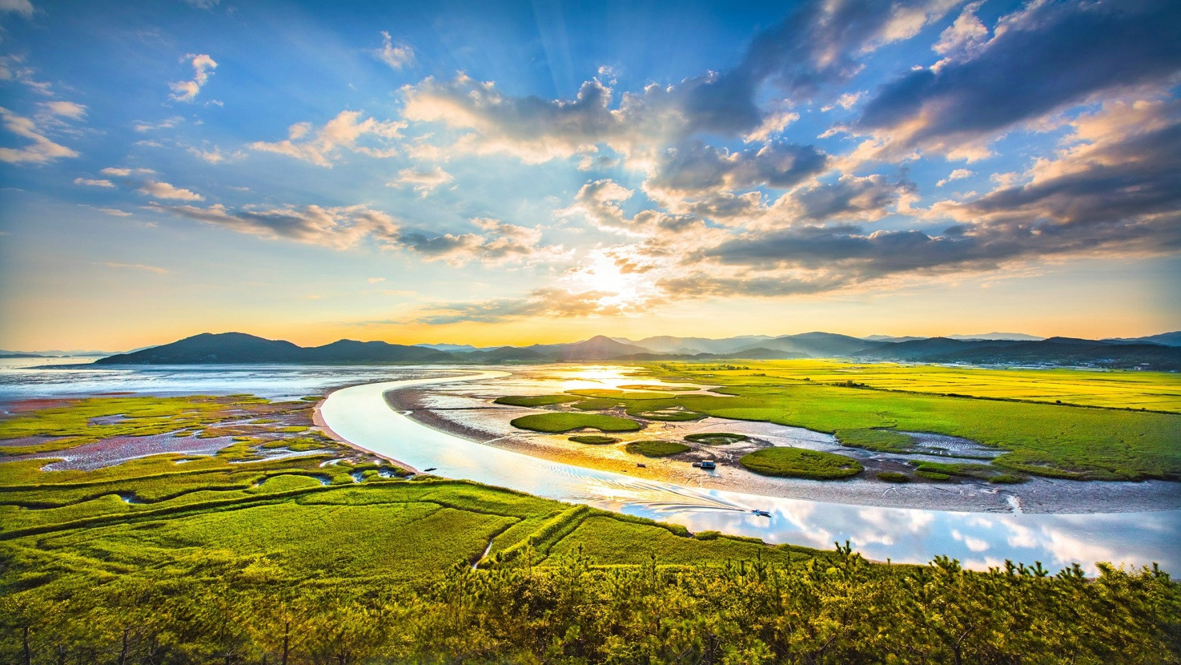 온라인카지노 순위 온카판 생태 조망하는 '용산 전망대' 새단장…11일 개방