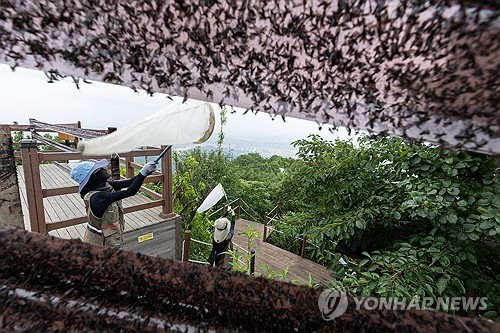 러브버그는 익충, 모기는 해충?…전문가 토크라운지 열린다