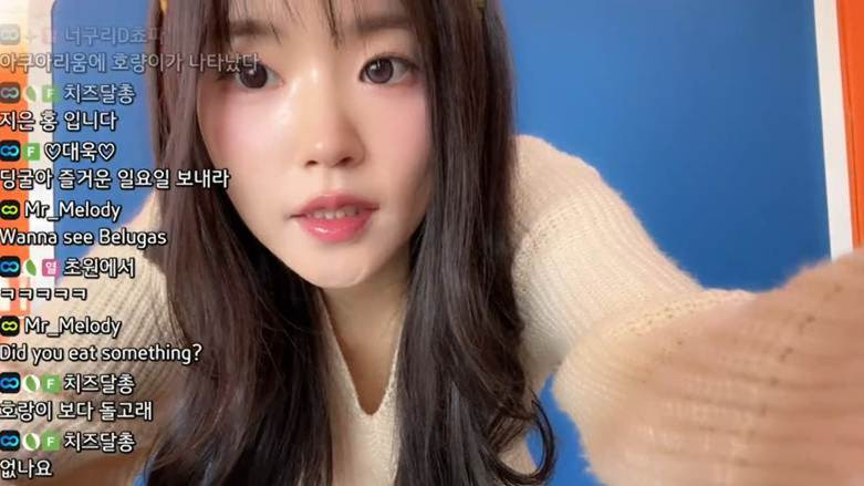 온라인카지노 총판