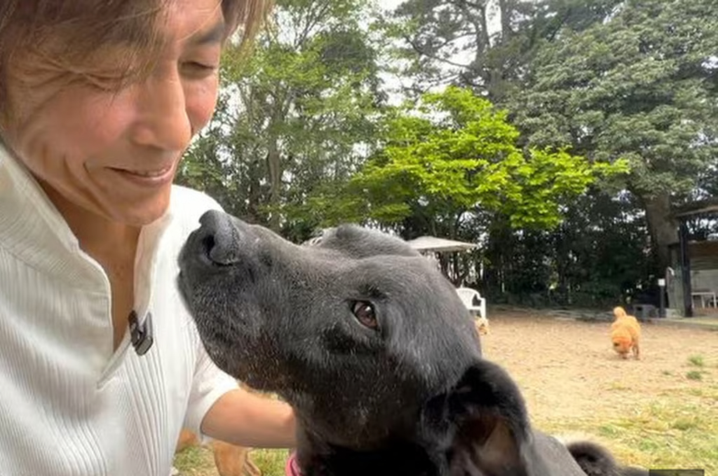 "반려견 덕분에 살았다"…<em class='find'온라인카지노 치료</em 팔아 문제견 보호소 세운 일본 남성