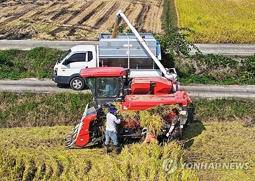 한국 쌀 '해외 온라인카지노 벳무브 수출' 상반기 416t…역대 최대