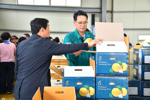 산불‧저온 이겨낸 ‘울주 햇배’ 첫 수확…18일 미 수출