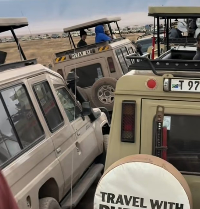 아프리카 대초원에서 교통 체증?…"인플루언서로 바글바글"