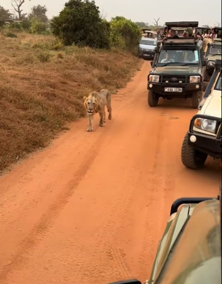 온라인카지노추천