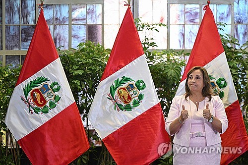 페루 헌재 "대통령 혐의 수사는 임기 종료 후"…검찰 수사 제동