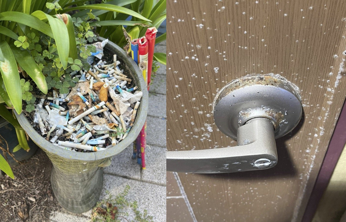 "'1박 24만 원' 제주 펜션에 곰팡내 가득"…위생 논란에 뒤늦게 사과