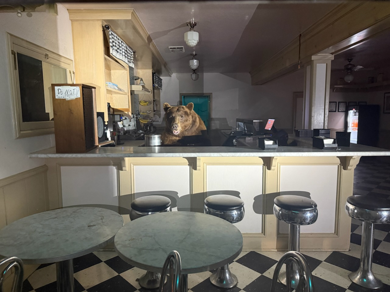 온라인카지노 알파벳