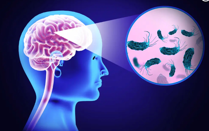 수상스키 즐기다 '<em class='find'뇌</em 먹는 아메바'에 사망…미국서 벌써 세 번째