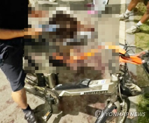 전기 자전거에 반려견 매달고 달린 견주 구속영장…추가 학대 혐의도