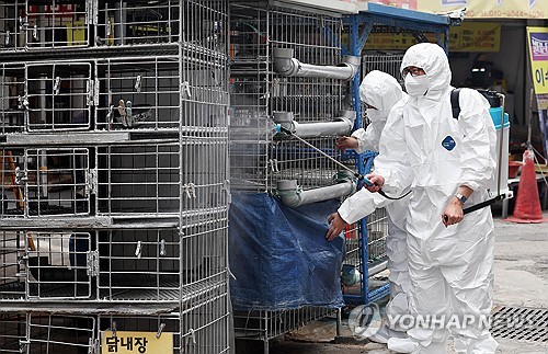 농식품부, 행안부와 축사 일제점검…"무허가 적발시 과태료·고발"