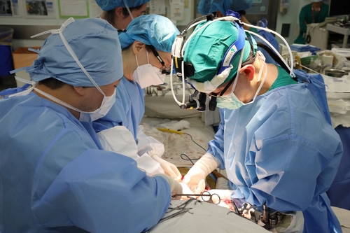 온라인카지노 처벌