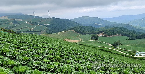 기후변화 대응 나선 농식품부…"기후적응형 우리 카지노채소 개발"