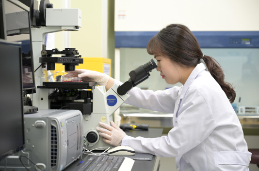 KGC인삼공사 "홍삼 콜레스테롤 개선 기선 최초 확인"