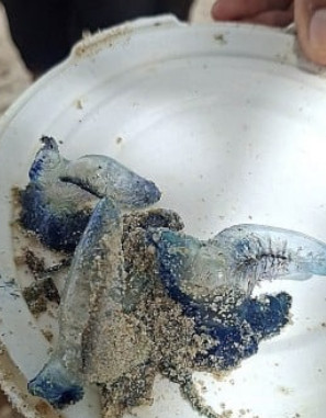 온라인카지노 총판