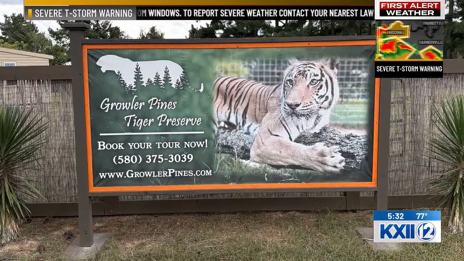 호랑이에게 살해 당한 미 조련사…"서커스 위해 학대" 증언도