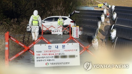 "닭·돼지·소 지켜라"…정부, 겨울철 가축전염병 비상대응 체계 돌입