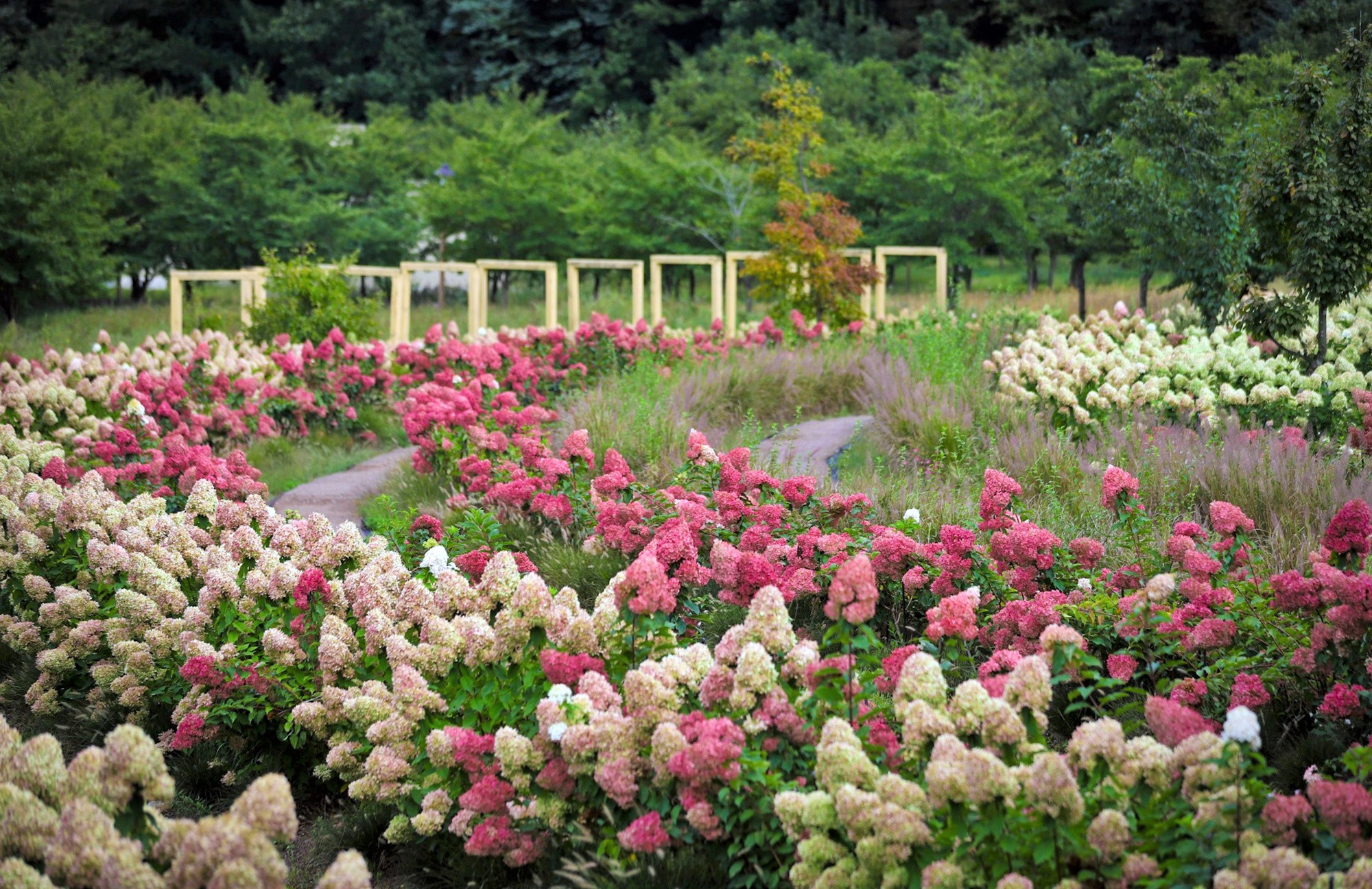 "추석 황금연휴, 샌즈 카지노 사이트샌즈 카지노 사이트서 숲캉스 어때요"