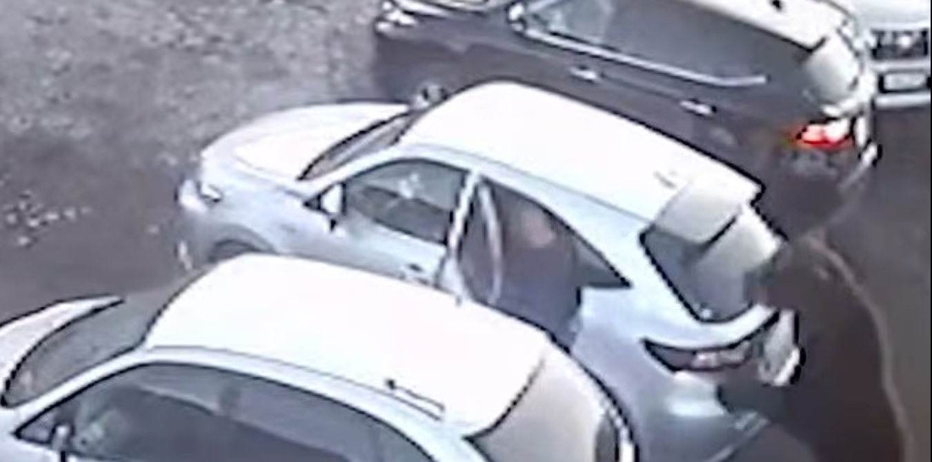 러 도심 습격한 곰, 죽은 척한 소년 생존…80대 여성은 끝내 사망