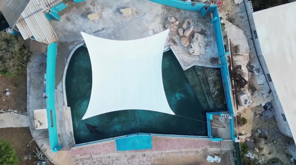 온라인카지노추천