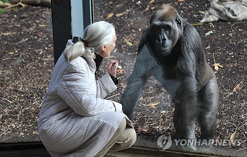 제인 온라인카지노 합법 벳무브 "트럼프·머스크, 우주로 보내버리고 싶어"