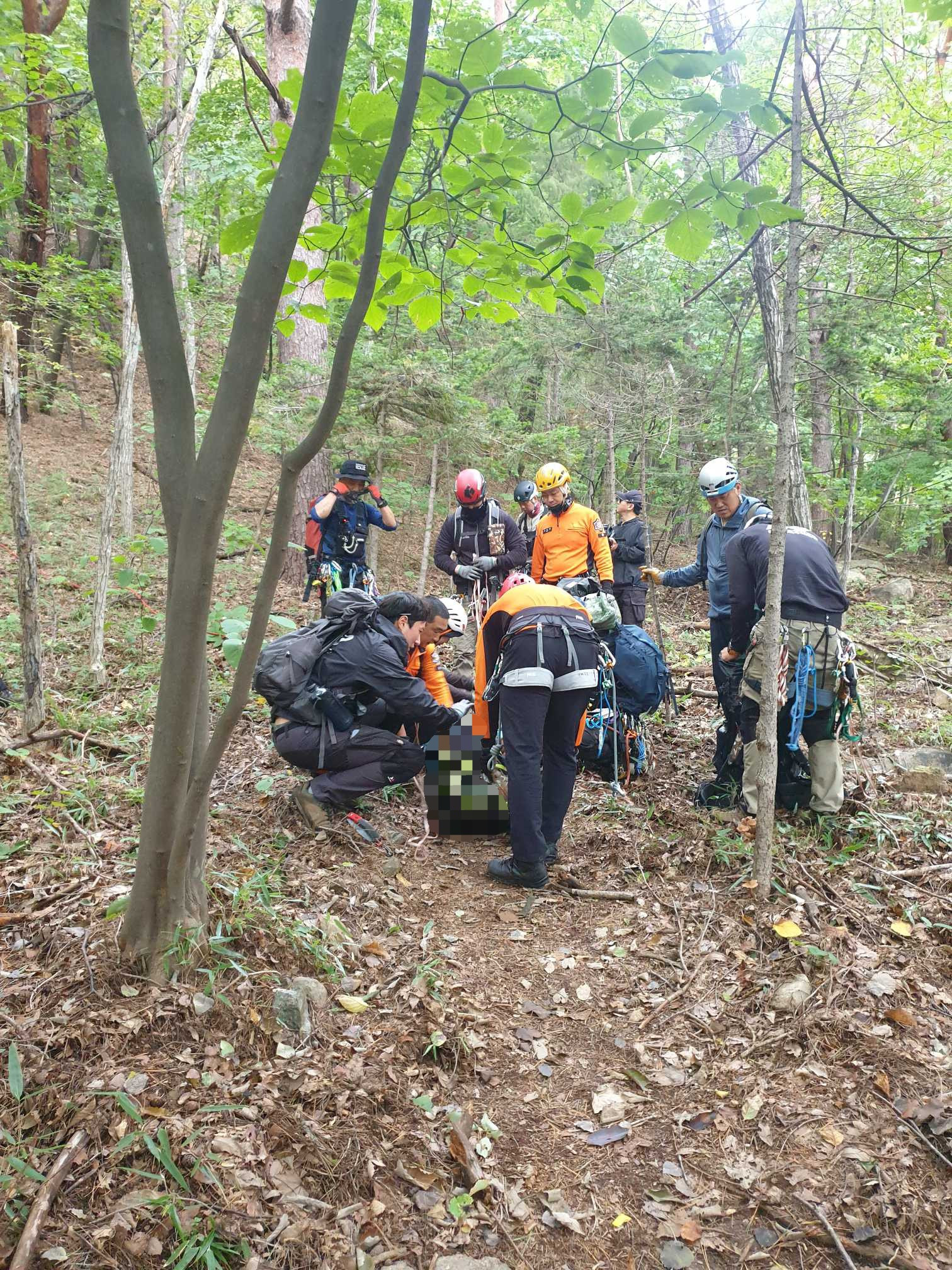길 잃고 떨어지고…추석 연휴 온라인카지노 산타카지노서 산행 사고 잇따라
