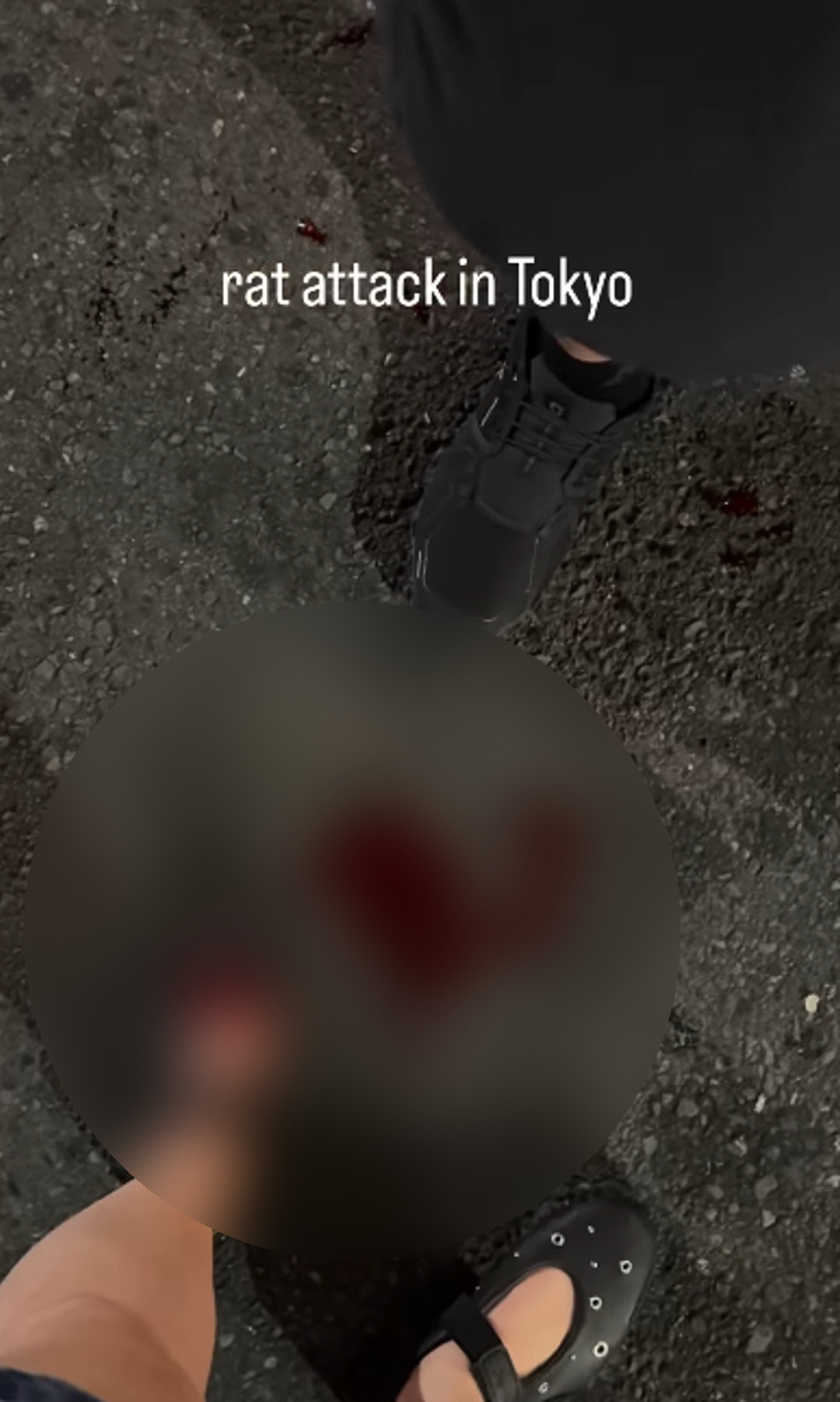 샌즈 카지노 사이트