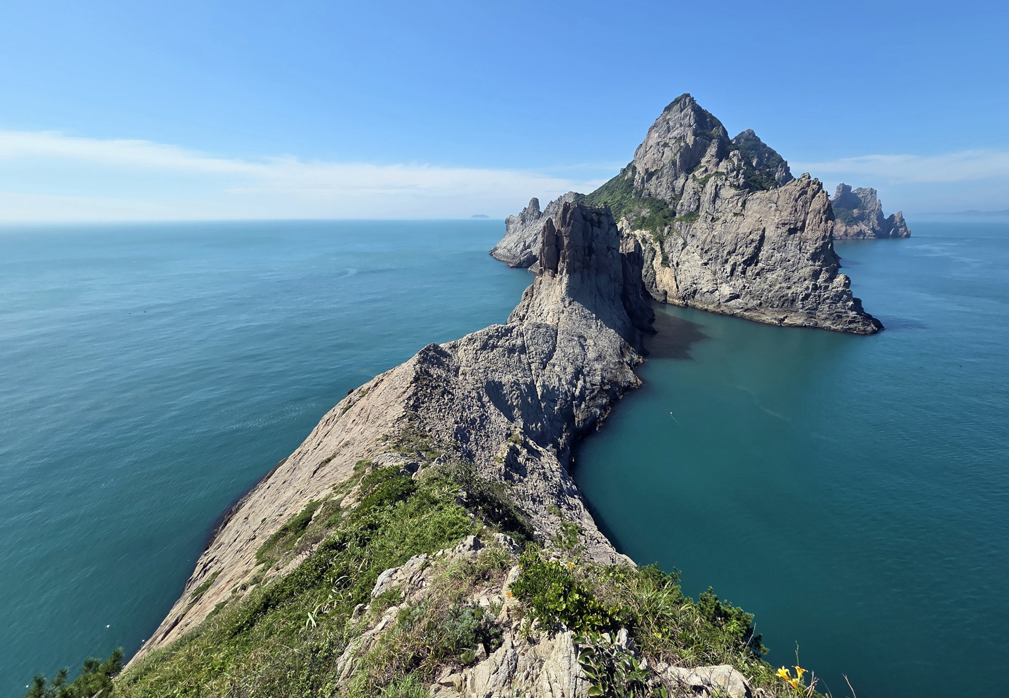 온라인카지노 합법 벳무브