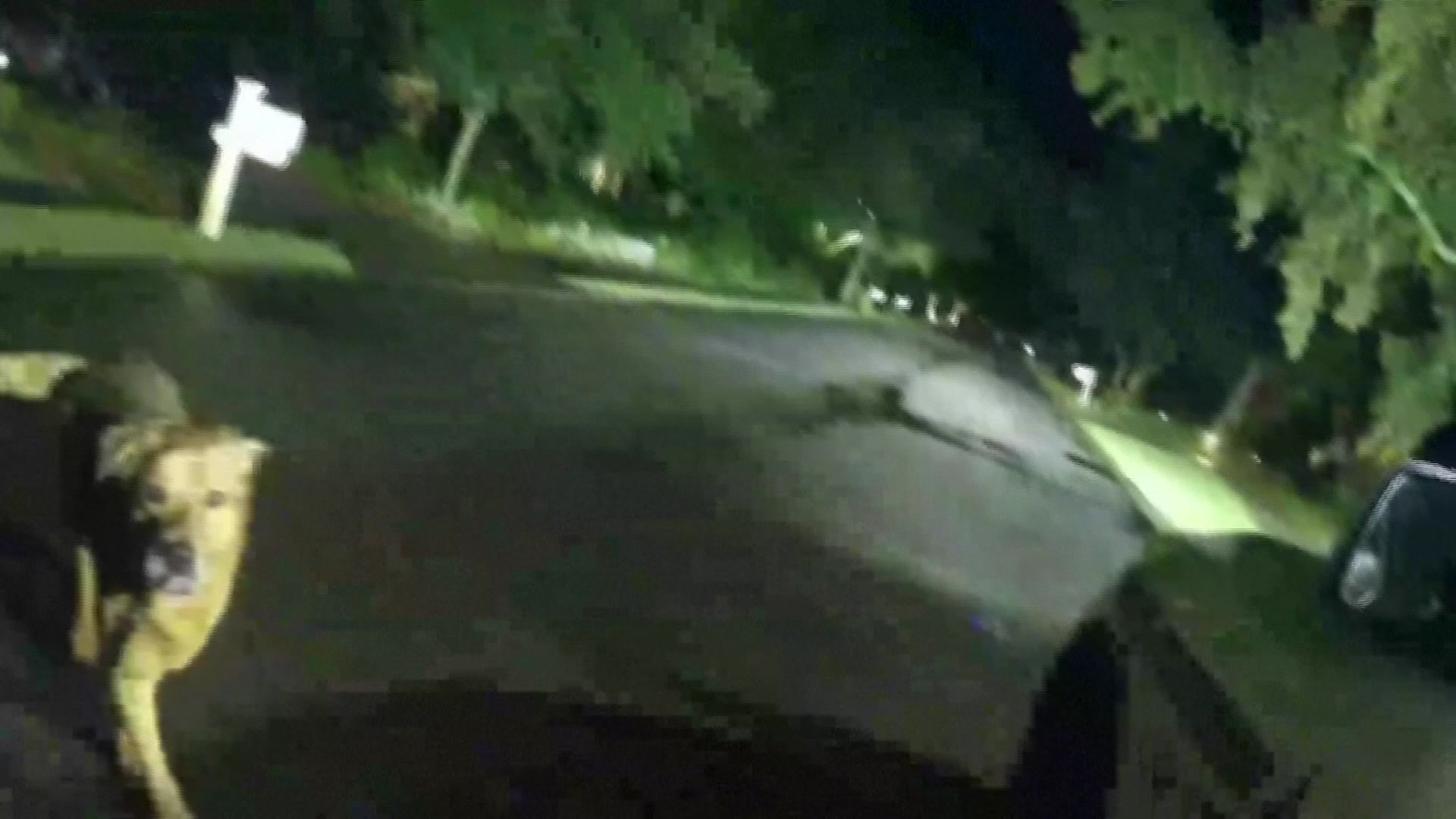 실종 할머니 찾는 경찰차로 달려온 강아지…"엄마 어딨니" 묻자 '따라오세요!'