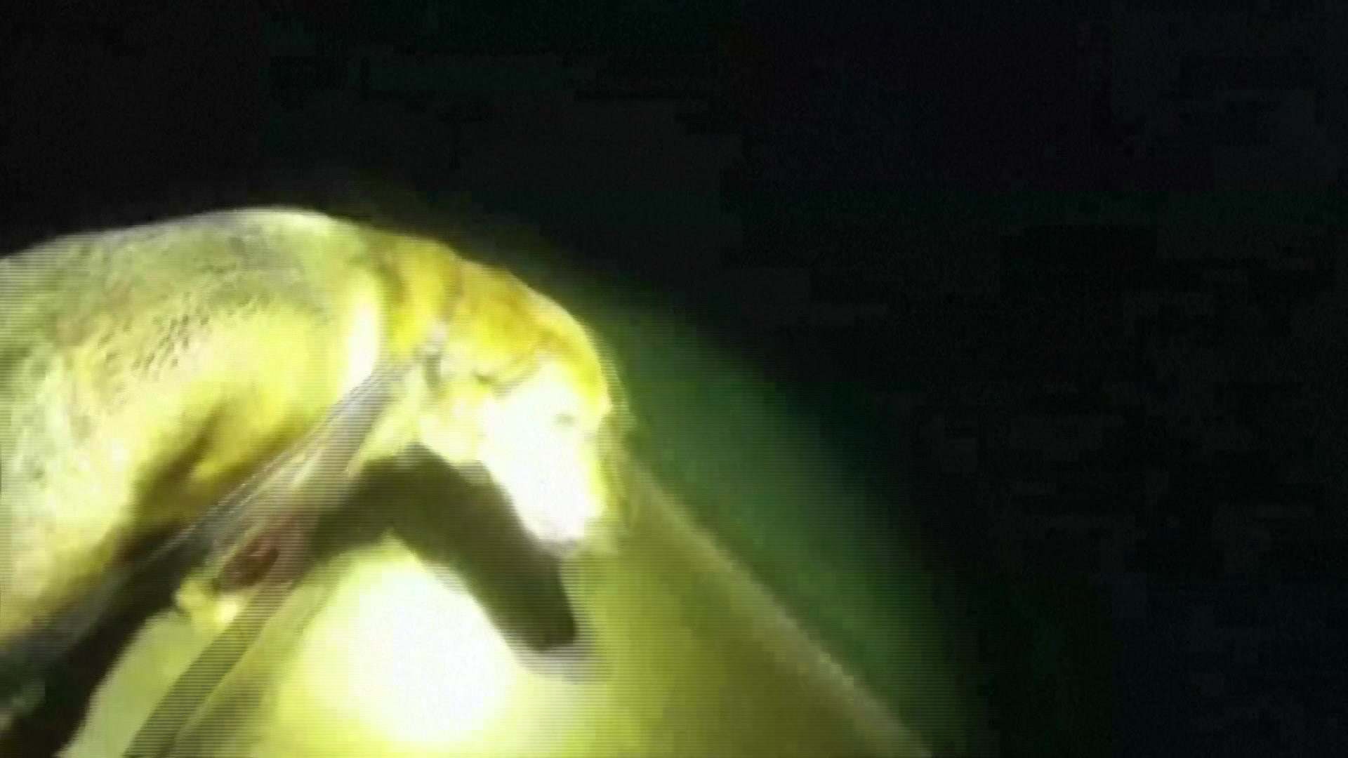 온라인카지노 비타임