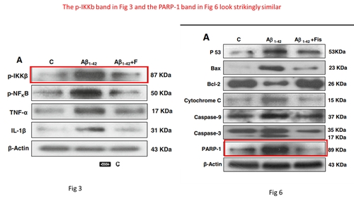 온라인카지노 라이센스 벳엔드