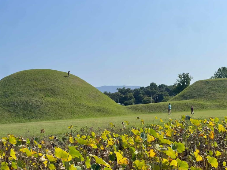능 꼭대기 올라가 사진 찍고 담배 피우고…온라인카지노 굿모닝 <em class='find'고분</em 훼손 논란