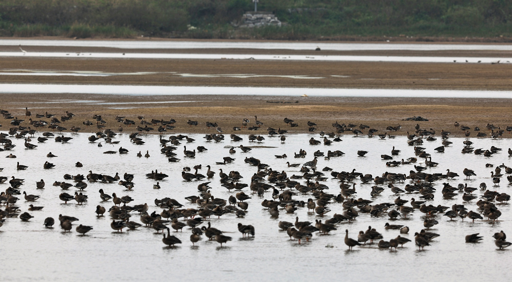 온라인카지노 먹튀 벳무브