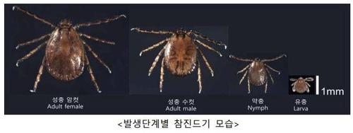 우리 카지노