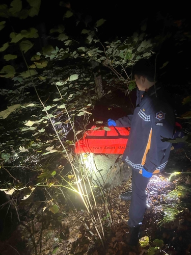 버섯 따러 갔다가…홍천 야산서 60대 숨진 채 발견