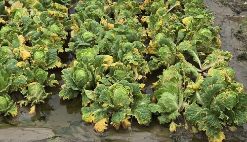 '극한 가뭄' 강릉, 이제는 <em class='find'온라인카지노 운영</em 장마로 피해 확산