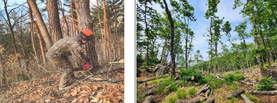 '미세먼지 저감' 숲가꾸기 84% 농촌·산지 집중…"취지 왜곡"