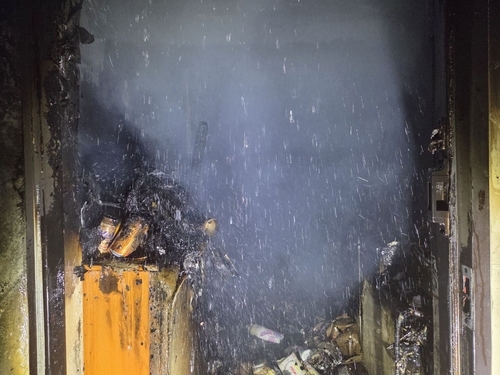 온라인 카지노 순위