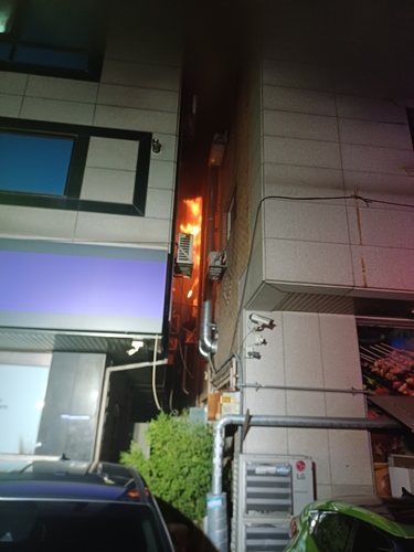 유튜브에서 본 대로 바퀴벌레 잡으려다 화재…1명 사망