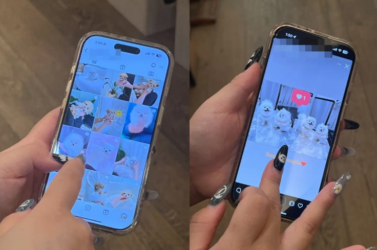 한국 no 1 온라인카지노