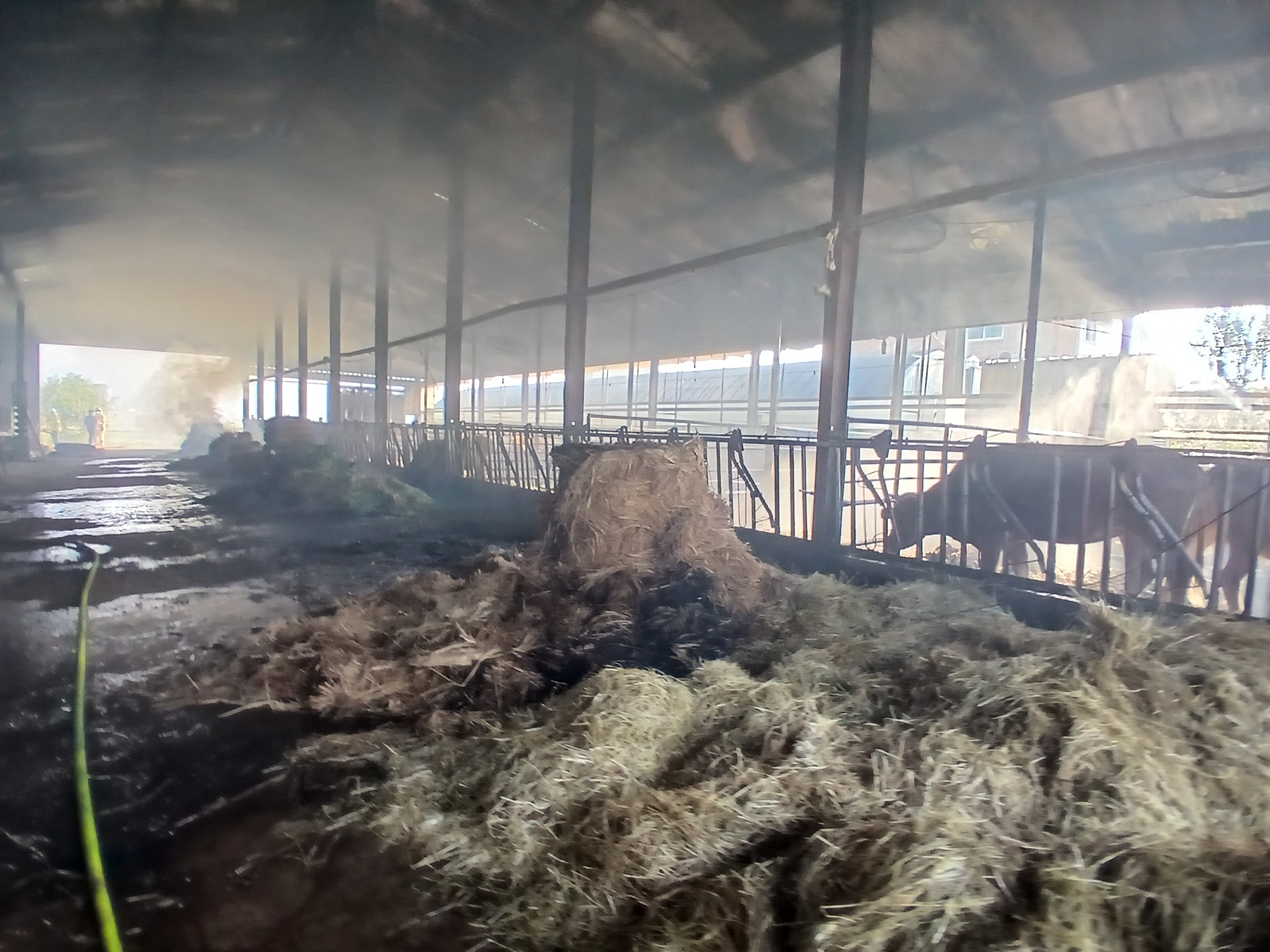 온라인카지노 후기 <em class='find'온라인카지노 후기</em 우사서 불…진화 시도하던 60대 화상