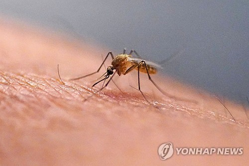 카지노 입플