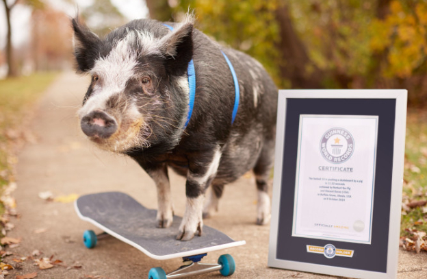 온라인카지노 쿠폰 벳엔드